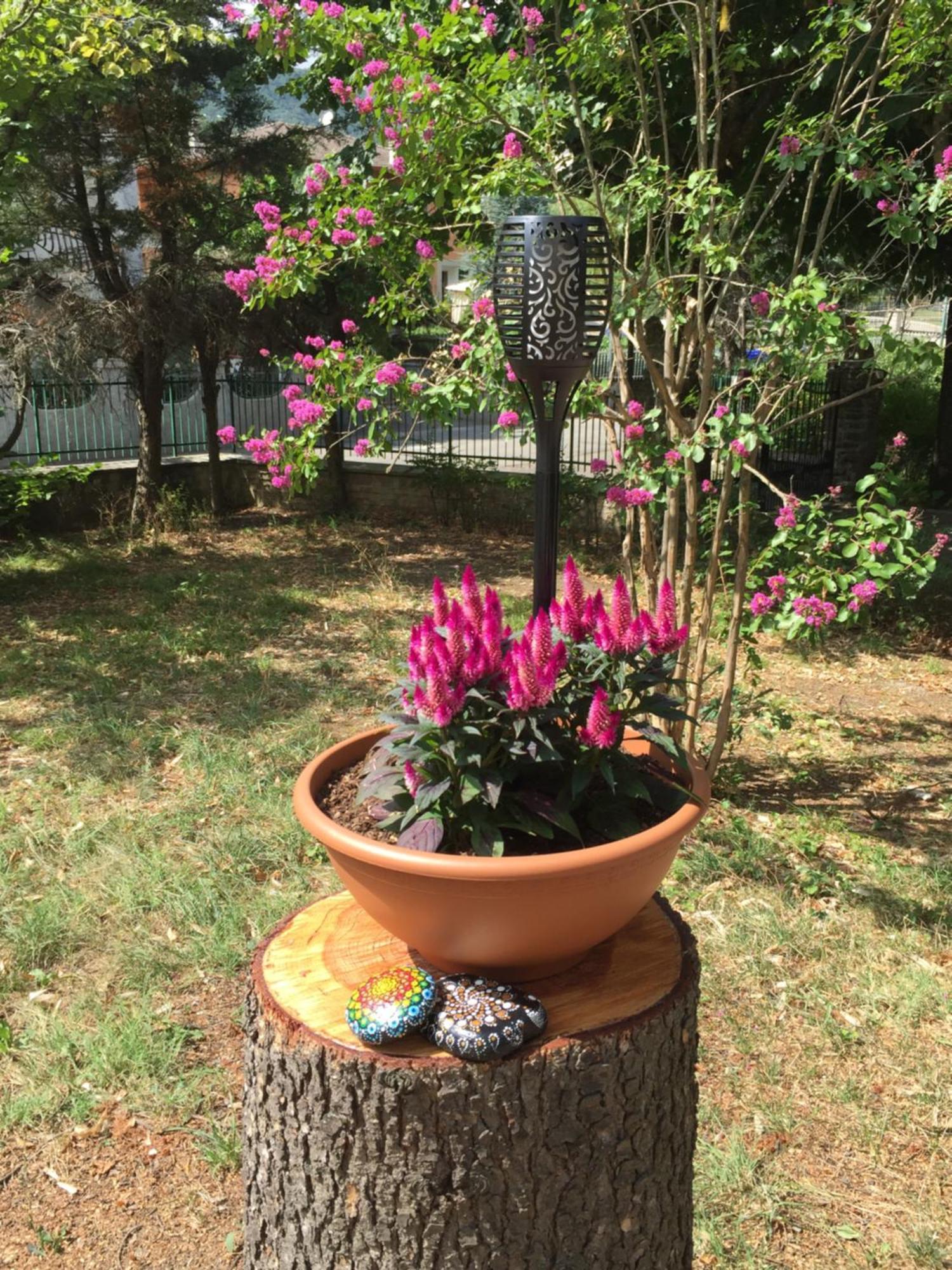 Ilgiardinoincantato Grizzana 外观 照片