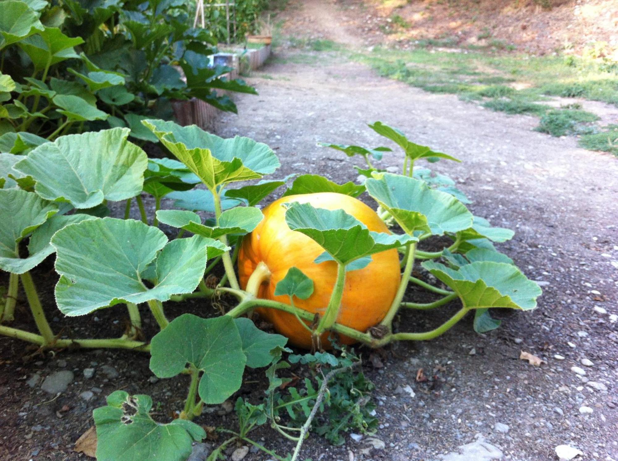 Ilgiardinoincantato Grizzana 外观 照片