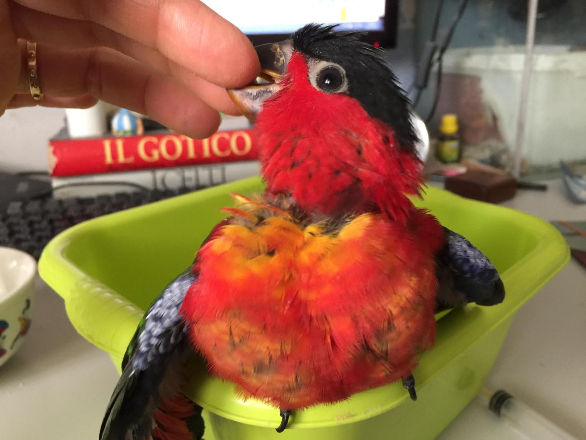 Ilgiardinoincantato Grizzana 外观 照片